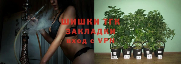 стаф Аркадак