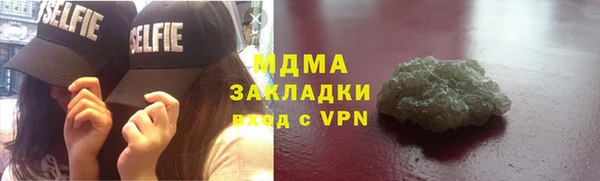 стаф Аркадак