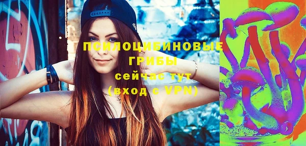 мяу мяу мука Арсеньев