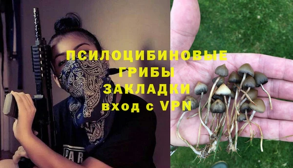 стаф Аркадак