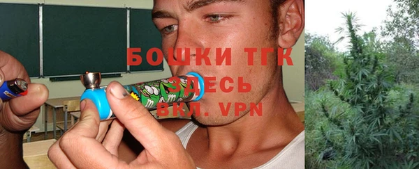 стаф Аркадак