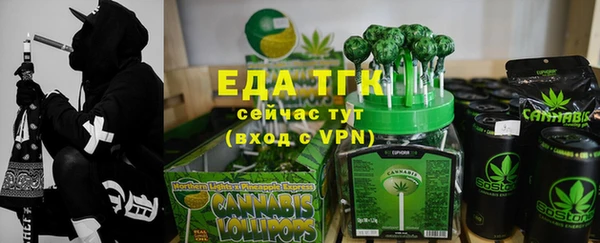 стаф Аркадак