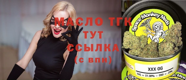 стаф Аркадак