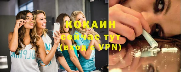 мяу мяу мука Арсеньев