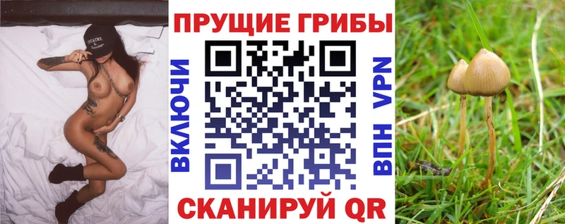 Галлюциногенные грибы Magic Shrooms  Кимры 
